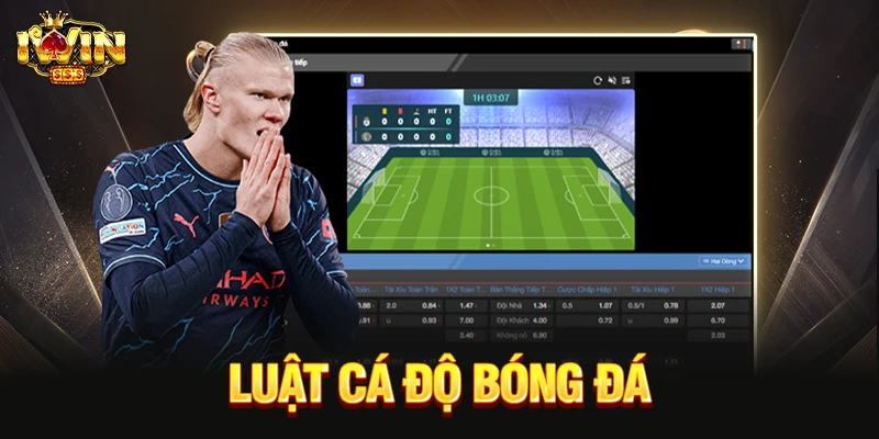 Luật Cá Độ Bóng Đá Cơ Bản Và Những Quy Định Quan Trọng luật cá độ bóng đá